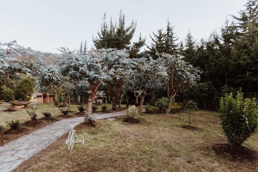 Holiday home Andino Sesquile