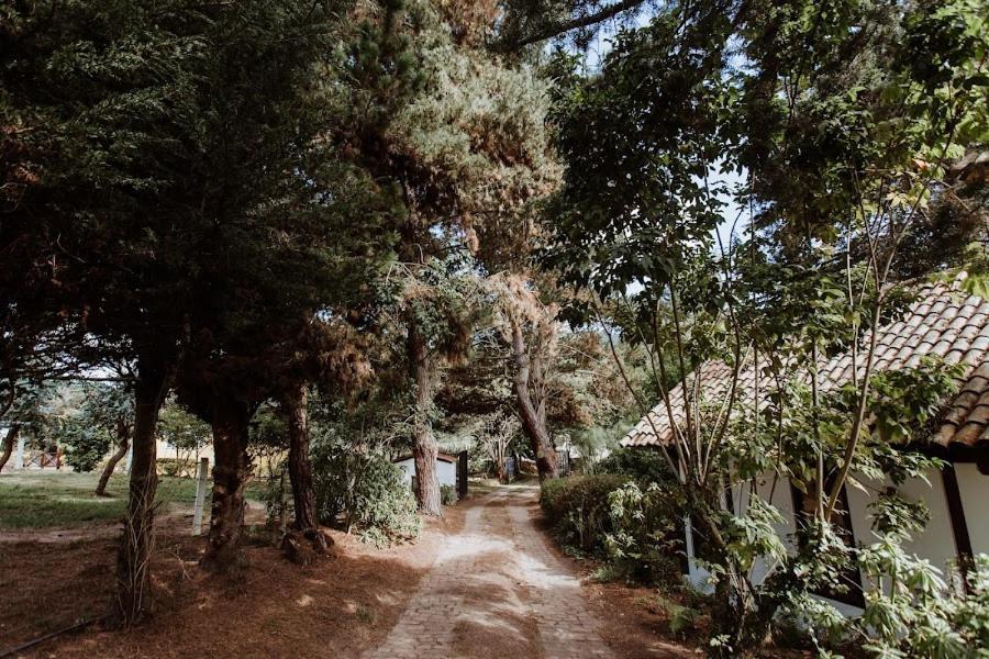 Holiday home Andino Sesquile